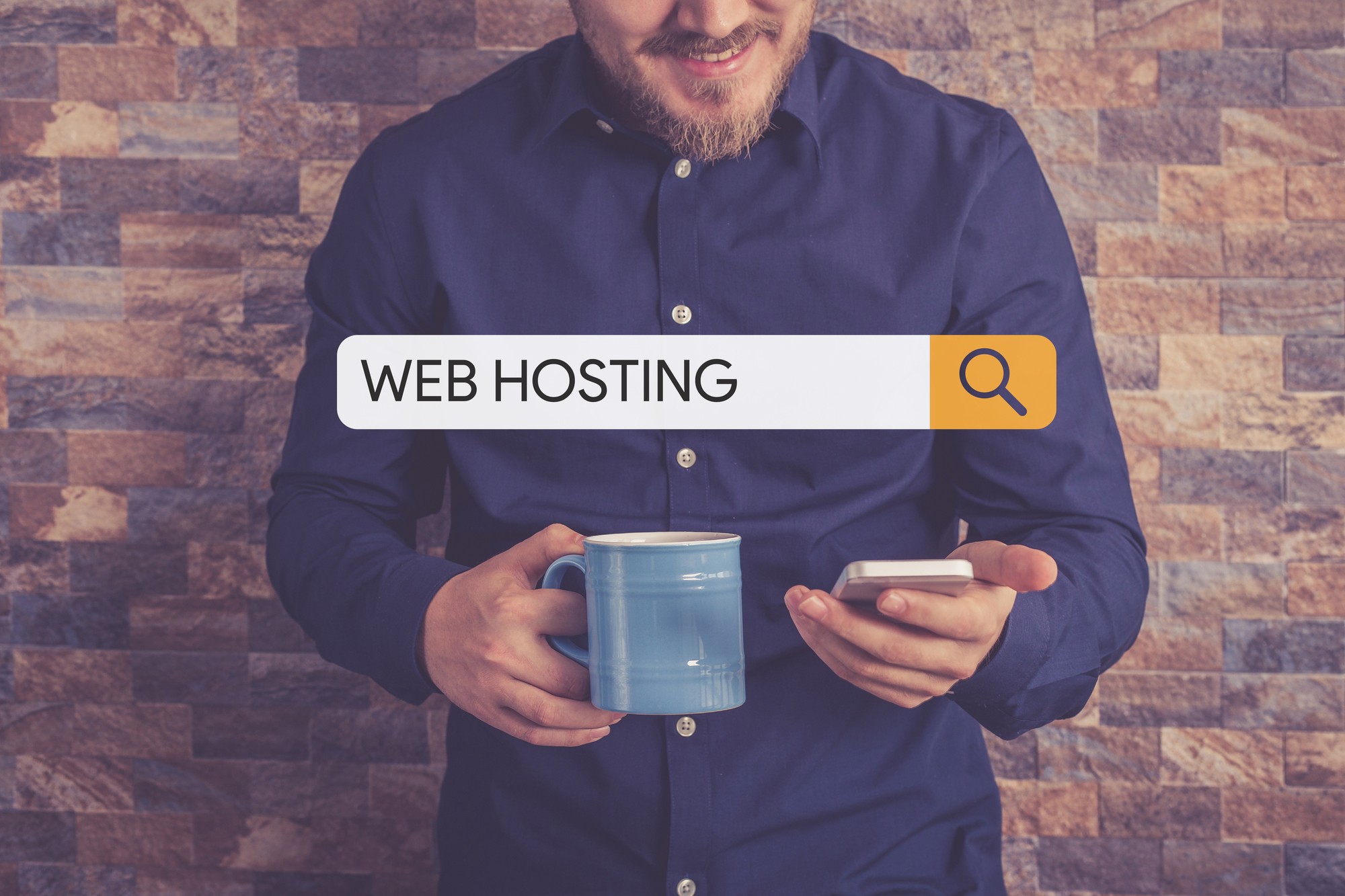 Webhostingových webů
